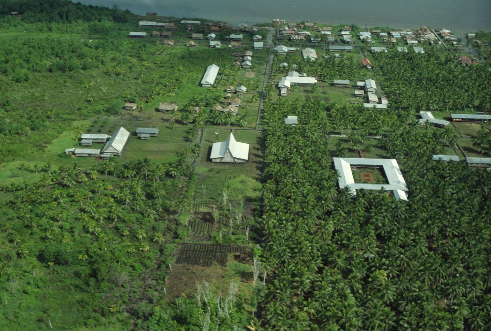 Agats from the air: rows of houses and boardwalks among coconut gardens