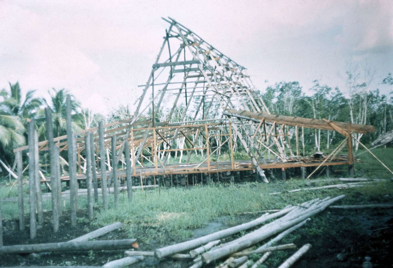 The A-frame of the present cathedral under construction on timber piles, with logs in the water and palms around